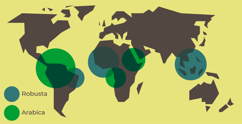 repartition des cafes en vente geographiquement